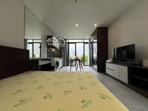 chdv 40m2 full nội thất mới, máy giặt riêng , cửa sổ lớn đón nắng ngay bùi đình tuý, gần hàng xanh
