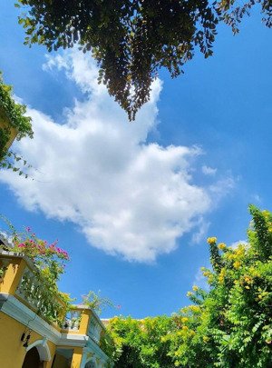 nhà phố cổ hội an ,mt nguyễn duy hiệu sát phố đi bộ giá sụp hầm