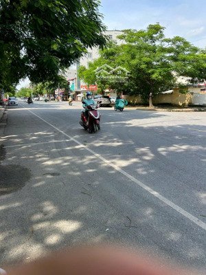 bán đất tại ngô xuân quảng, trâu quỳ, gia lâm, hà nội, giá cực chất 19,5 tỷ, 109,4 m2