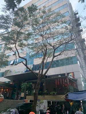 tòa văn phòng vip nguyễn khánh toàn - vừa ở vừa cho thuê 600tr/1th