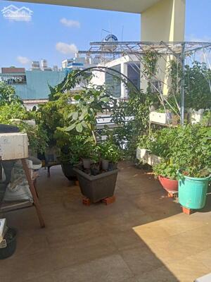 Nhà 2 tầng 50m2 SD đường Lê Văn Sỹ, Phường 14, Quận 3 - Giá 2,99 tỷ