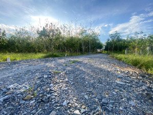 đất 5m x 31m thổ cư ở ấp cây da, xã hiệp thạnh, đón đầu khu công nghiệp, sổ hồng trao tay.