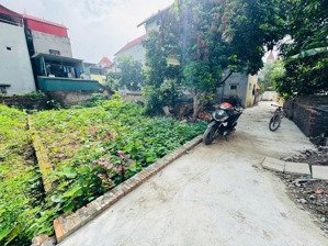 chính chủ cần bán gần 80m đất đại độ gần cầu thăng long chỉ hơn 4 tỷ