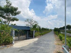 1hecta đường Đông kênh 21,thị trấn Mỹ Phước,Tân Phước,Tiền Giang
