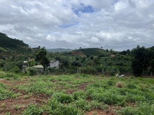 bán lô góc 2 mặt tiền gia lâm view đồi thông