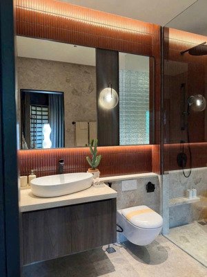 bán căn hộ duplex sân vườn view đẹp giá 4ty6 chung cư the felix cường đô la