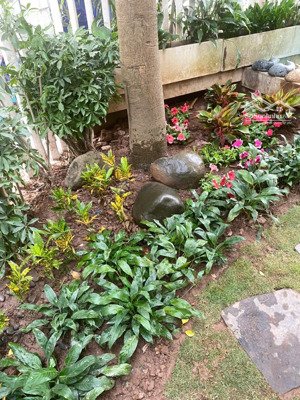 bán biệt thự 5pn, 3wc tại vườn đào, giá thỏa thuận, 220m2