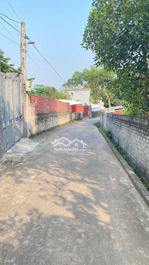 bán đất tại đông các, đông hưng, thái bình, giá tốt 30 triệu / m2, diện tích 107 m2