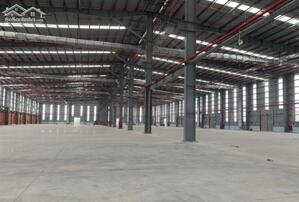 Cho thuê kho xưởng 3000m2, 5500m2, 11.000m2 xã Lương Bình, Bến Lức, Long An