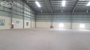 Cho Thuê Kho Xưởng 3000m2 Chứa Hàng Hoặc Sản Xuất Tại Bến Lức, Long An