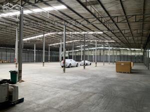 Cho Thuê Xưởng Bến Lức 30.000m² Cắt Lẻ Từ 3.000m², Gần Sông Vàm Cỏ, Cảng Xuất Khẩu