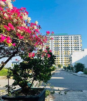 chính chủ cho thuê kiot tầng 1 chung cư evergreen tràng duệ, dt 68m2. giá 11tr/tháng.