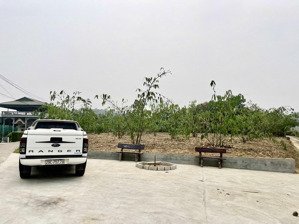 đất khu công nghiệp chân mộng phú thọ. bên cạnh đường cao tốc 1115m2, 3 mặt thoáng 120m. giá 1tỷ850