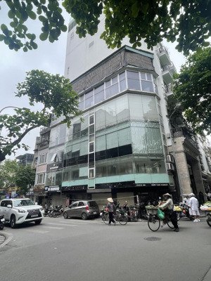 cho thuê nhà phố tô hiến thành 55m2 x 5t, lô góc mt15m, riêng biệt, thông sàn, giá 55tr