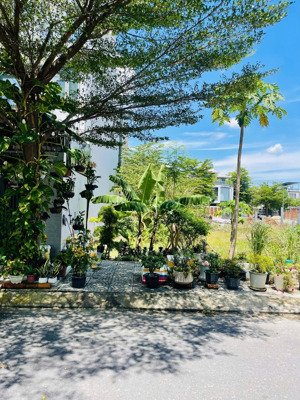 bán lô đất sạch đẹp view công viên lớn nhất gói 5, hướng đông mát giá 48.5 triệu/m2 bao hết