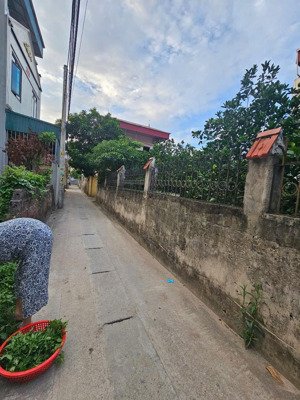 bán đất tại xã khánh hà, thường tín, hà nội, giá ưu đãi 3,75 tỷ, 59,5 m2