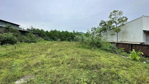 954m/250m thổ cư dựng nhà xưởng cực đẹp tại phú cát, hà nội (phú mãn cũ)