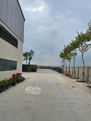 cho thuê kho xưởng tại cụm cn tân tiến, văn giang hưng yên diện tích: 1300m bàn giao từ 1/10
