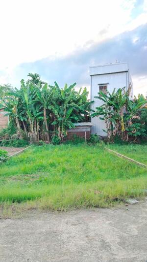 Bán đất Hòa Phong, gần UBND xã Hòa Vang mới, gần chợ, 121 m2, ngang 6.8m, giá chỉ 1 tỷ 150