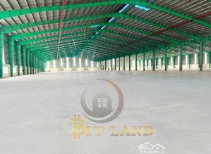 cho thuê xưởng trong kcn nhơn trạch , hơn 10.000m- 5,3ud/m2/thang