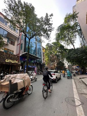 bán nhà phố trần quang diệu gara ôtô -gần công viên dt:50m-4 tầng -mt:3.9m -giá nhỉnh 14 tỷ