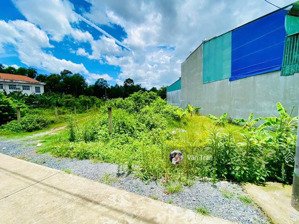 (36) đất ở thổ cư sổ hồng riêng tân an hội, củ chi ngay kcn khu vực lý tưởng kinh doanh