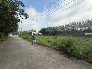 bán đất tại đường n17, thị trấn lai uyên, bàu bàng, 850 triệu, 300 m2, đầu tư, cho thuê, xây trọ.