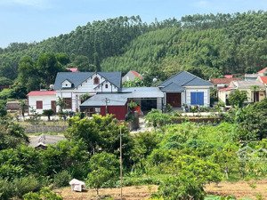 bán , khu nghỉ dưỡng tại xã cẩm lý, 1,62 tỷ, 1950m2 - hot!