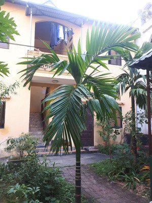 phòng trọ yên nghĩa, hà đông, hà nội