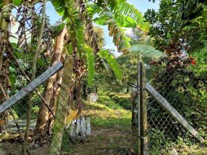 Chính Chủ Lô Đất Nền 2 Mặt Tiền Gần Ngã 3 và Ngã Tư Long Khánh, Phường Cai Lậy