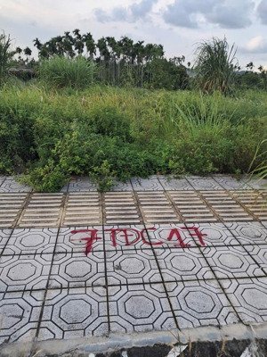 bán tất cả các lô, các vị trí tđc hoa động.giá từ 3,2x tỷ.