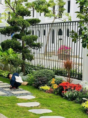 bán gấp biệt thự liền kề 123m2, giá ưu đãi, uy tín