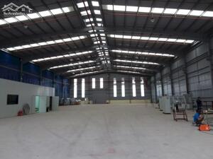  CHO THUÊ KHO XƯỞNG – KHO BÃI TẠI KCN PHỐ NỐI A, HƯNG YÊN Diện tích linh hoạt: 3.000m² – 300.000m² | Giá chỉ từ 60.000đ/m²/tháng