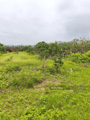 bán đất rộng 1650m2 đất kiên lao bắc ninh giá đầu tư nhỉnh 2 tỷ 