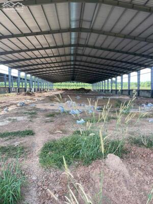 Bán xưởng 3,1 ha tại Phú Giáo Bình Dương - chỉ 180 tỷ