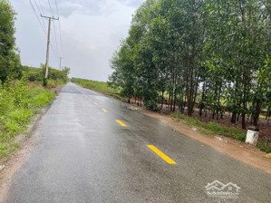 bán gấp 4000m2 đất quy hoạch skc xã an viễn, trảng bom, đồng nai, dt: 4000m2, sổ riêng qh skc