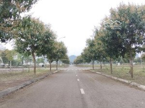 nhỉnh 1 tỉ sở hữu lô liền kề cạnh góc 90m2 mặt tiền rộng 6,5m trung tâm thị trấn tân lạc sẵn sổ đỏ