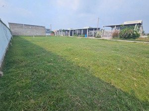 đất thổ cư 1/ 823d 7x17m xây dựng full bán nhanh 750 triệu