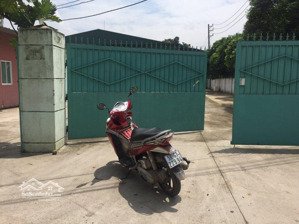 nhà xưởng cho thuê phường an phú đông quận 12 dt: 2000m giá 110 triêu/tháng lh: 