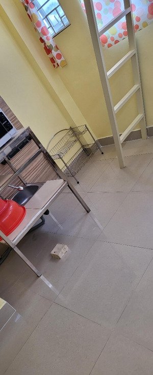 phòng có gác, cửa sổ lớn, tủ lạnh, lò nướng vi sóng, lê lai phường 3 gò vấp tphcm