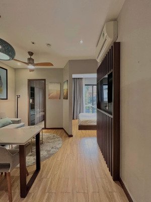 căn hộ 1 pn mới xây gần lotte, crescent mall, vivo city - gần trường rmit - tdtu