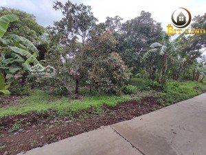 bán đất xã quang trung, huyện thống nhất, tỉnh đồng nai 6000m2. giá rẻ