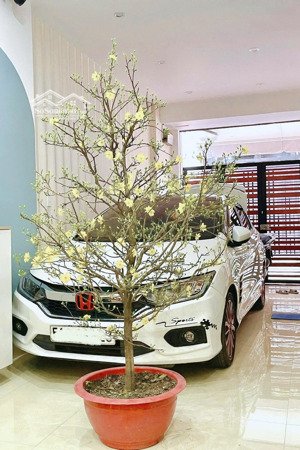 bán nhà 7tỷ1 - hxh - thiết kế gia chủ - nội thất cao cấp đầy đủ - dọn ở ngay