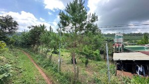 đất nền bảo lâm, full thổ cư, chỉ 330 triệu nhận sổ về tay