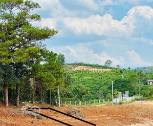 bán đất thổ cư tại nam hà, lâm đồng . vị trí cực đẹp . giá 680 triệu , 469m2