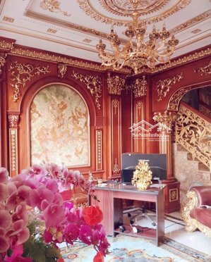 bán biệt thự cao cấp- sang trọng lê đức thọ, p7, gò vấp, tp.hcm