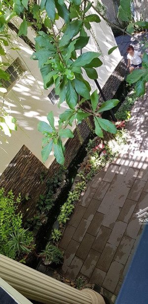 biệt thự sân vườn nguyễn cư trinh giao với trần hưng đạo, quận 1, dt: 9x27m, giá bán 55ty