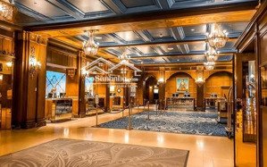 siêu hot.cho thuê mbkd nhà thờ lớn hà nội.dt 95m2 x 4t,mt 5,5m,phố kd đông sinh viên và nước ngoài