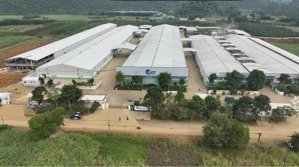 chính chủ bán gấp lô góc 150m/lô full thổ cư tại thạch quảng giá 260 triệu