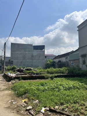 chính chủ cần bán nhanh đất phân lô thuỵ lâm đông anh hà nội